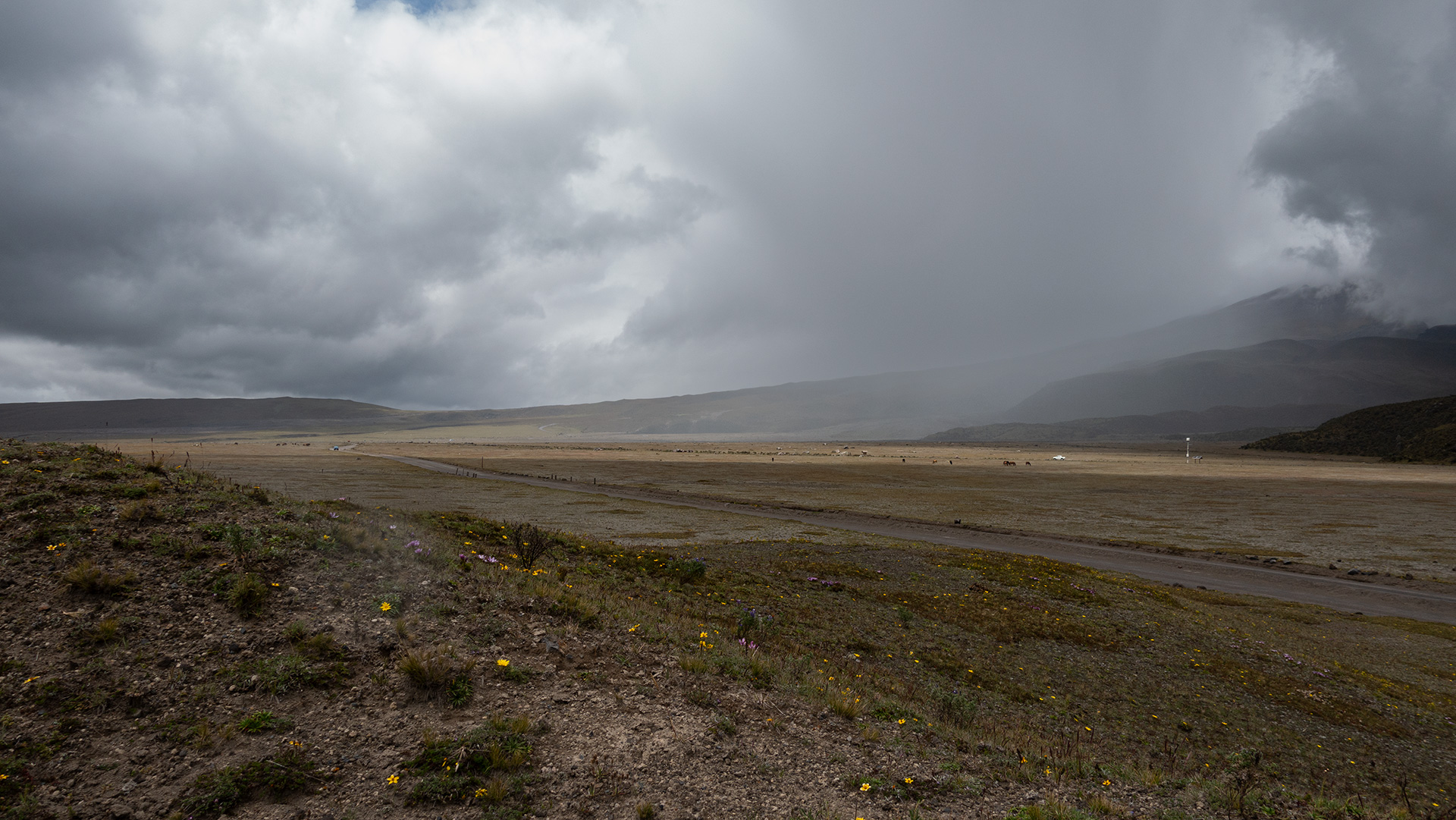 Cotopaxi National Park, Ecuador