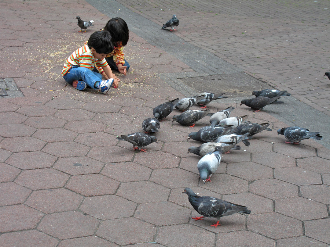 Amsterdam, Netherlands