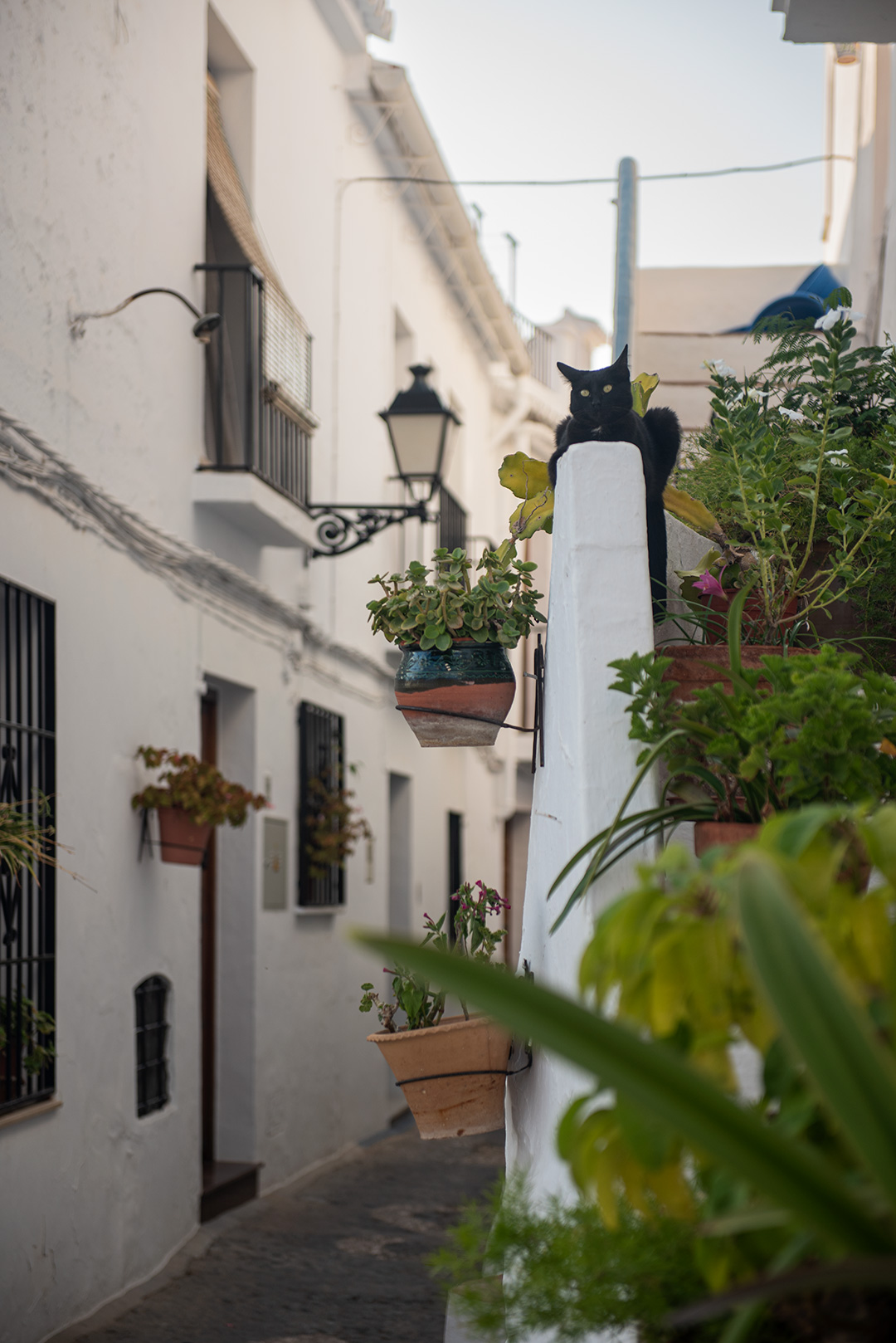 Frigiliana, Malaga, Spain