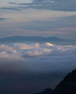 La continua búsqueda